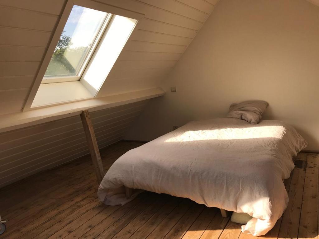 Studio Minerva Antwerp Luaran gambar